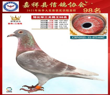 �ر����P(gu��n)����98��