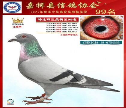 �ر����P(gu��n)����99��