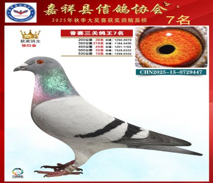 ��ِ���P(gu��n)����7��