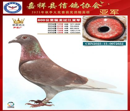 600���������^����܊