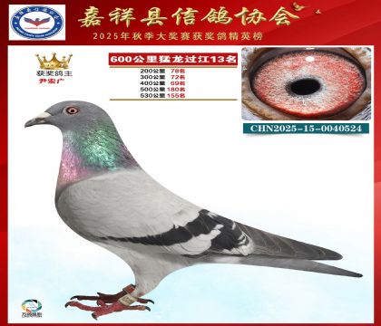 600���������^��13��