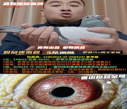 ���OƷ�ٶȴơ��_�Ơ�x��������