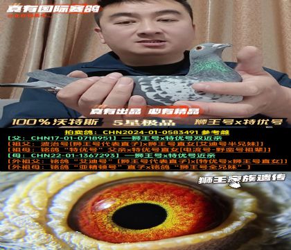 ��������˹���{��̖x�؃�(y��u)̖�p���H