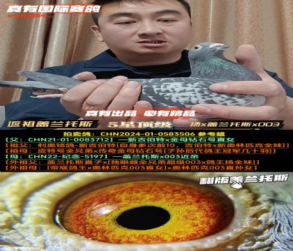 ���w�m��˹���桷�w�m��˹x�Px003