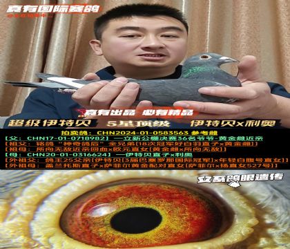 ����������ؐ������ؐx���W