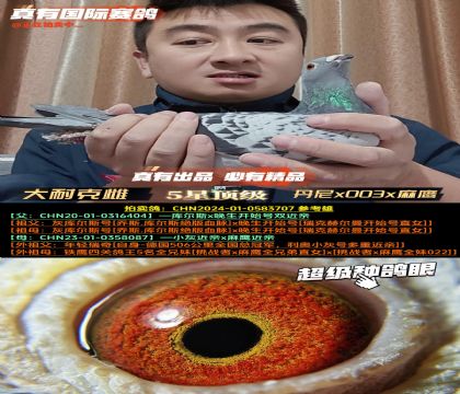 �����Ϳ˳����ơ�����x003x����