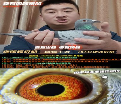 ���^�泬���ơ�003x�����P�p���H