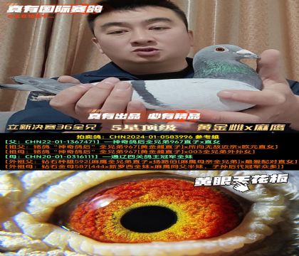 �����Qِ36ȫ�ֵܡ��S���x�����p���H