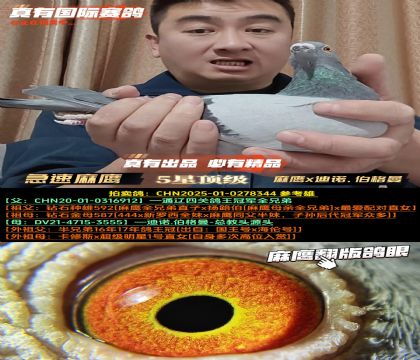 ����������������x���Z������