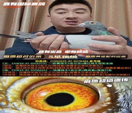 �������������H�������S���䌦��Ѫ