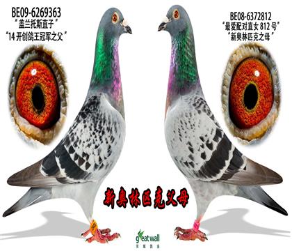 �W��ƥ�˸�ĸ