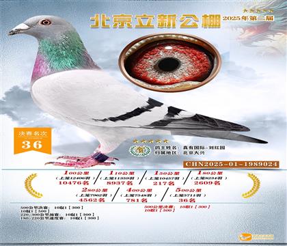 ���¹���Qِ36��