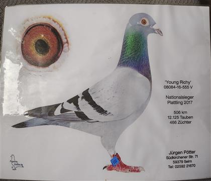 ���p����