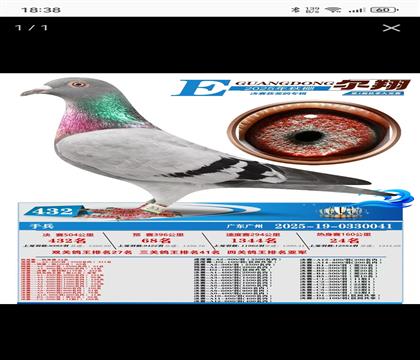 638ֱ������