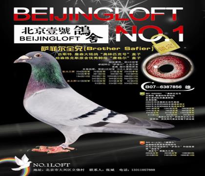 638���H-�_�Ơ�ȫ�ֵ�