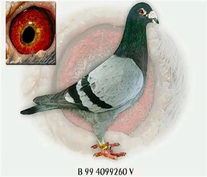 ���Z������