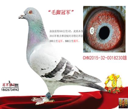 �����Ա֮һ�ھ�