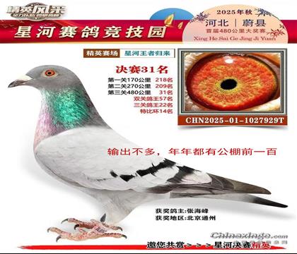 �´���25�����¹������31