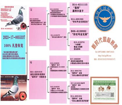 ����Ѫͳ��