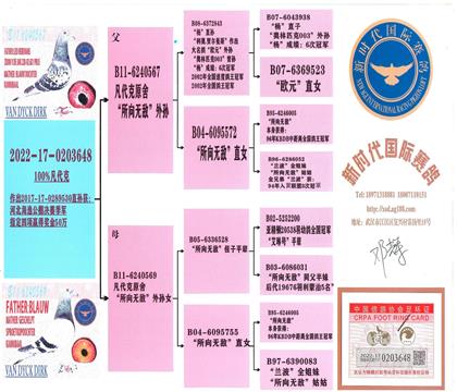 ����Ѫͳ��