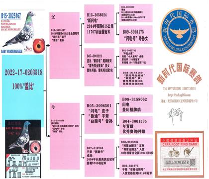 ����Ѫͳ��