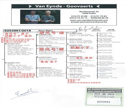 ����Ѫͳ��