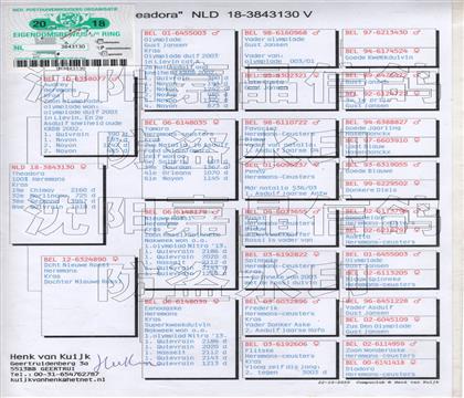 原始血統(tǒng)書