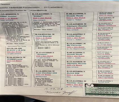 ��Ӱ�Ѫ�y(t��ng)��