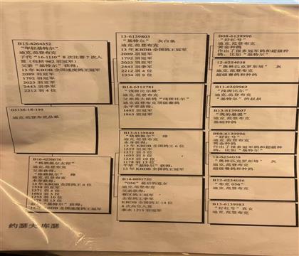 ��Ӱ淭�g��