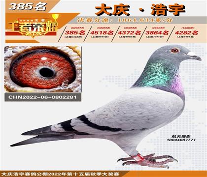 ������Ƭ