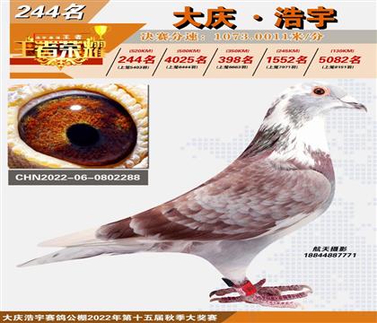 ��(d��ng)����Ƭ