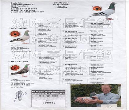 ԭʼѪ�y(t��ng)��