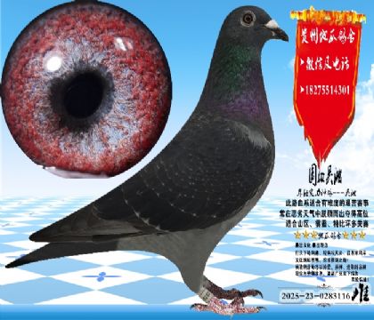 ʵս��������