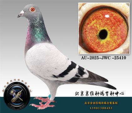 58-AU-2025-JWC-25410