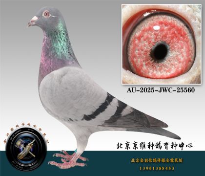 123-AU-2025-JWC-25560