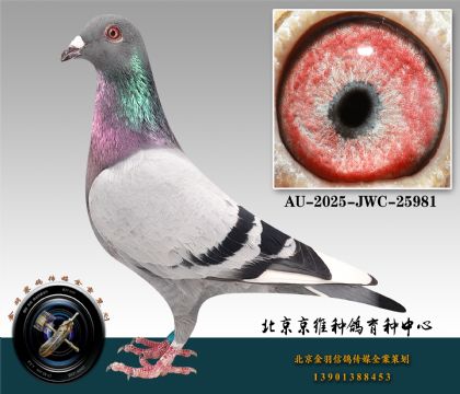 158-AU-2025-JWC-25981