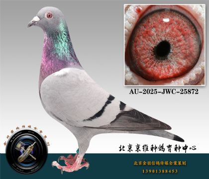 168-AU-2025-JWC-25872