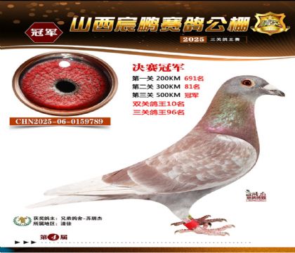 ɽ����i�Qِ1��