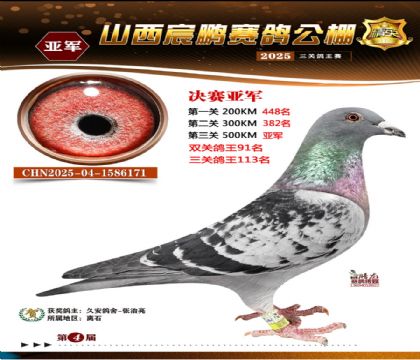 ɽ����i�Qِ2��