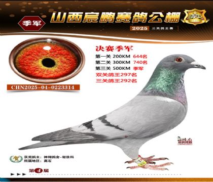 ɽ����i�Qِ3��