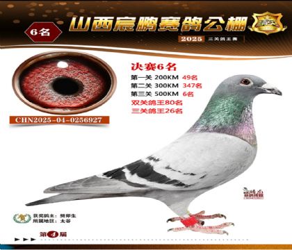 ɽ����i�Qِ6��