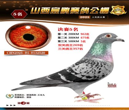 ɽ����i�Qِ5��