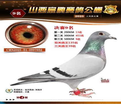 ɽ����i�Qِ9��