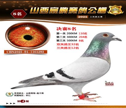 ɽ����i�Qِ8��