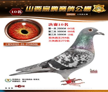 ɽ����i�Qِ10��