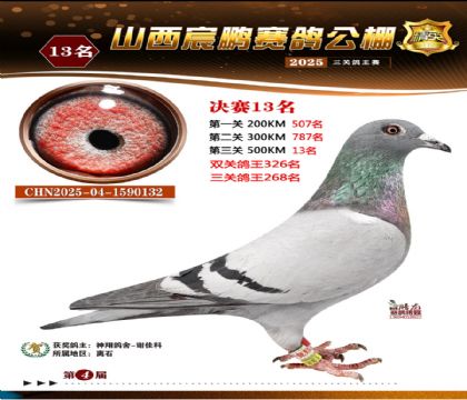 ɽ����i�Qِ13��