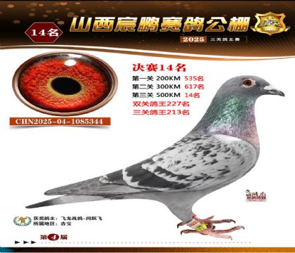 ɽ����i�Qِ14��