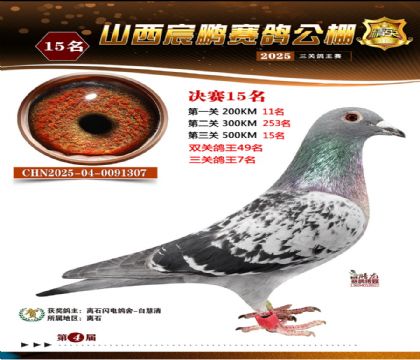 ɽ����i�Qِ15��