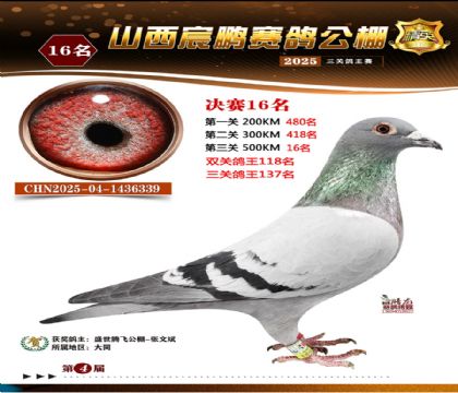 ɽ����i�Qِ16��