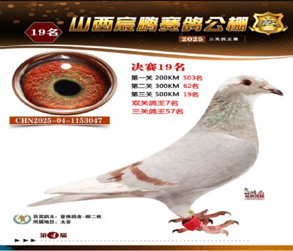 ɽ����i�Qِ19��